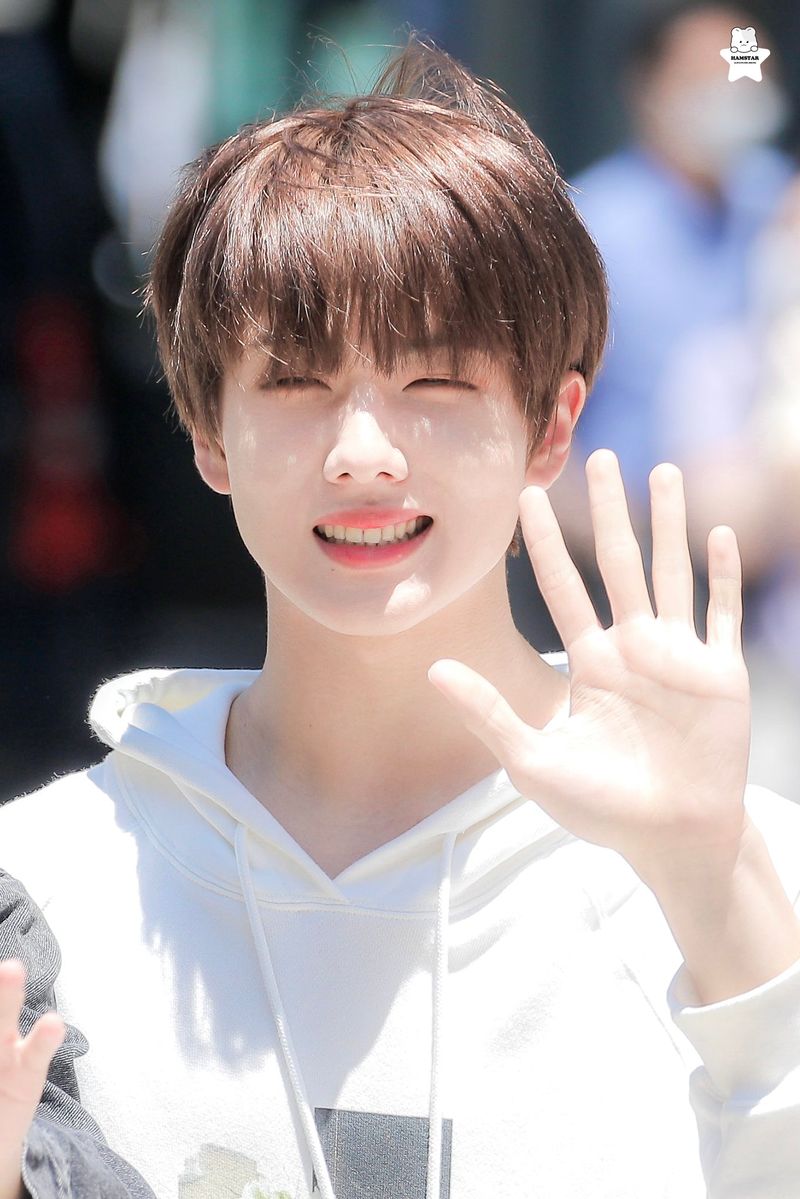 Quiz image attachment