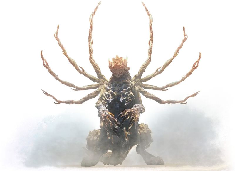 Quiz image attachment