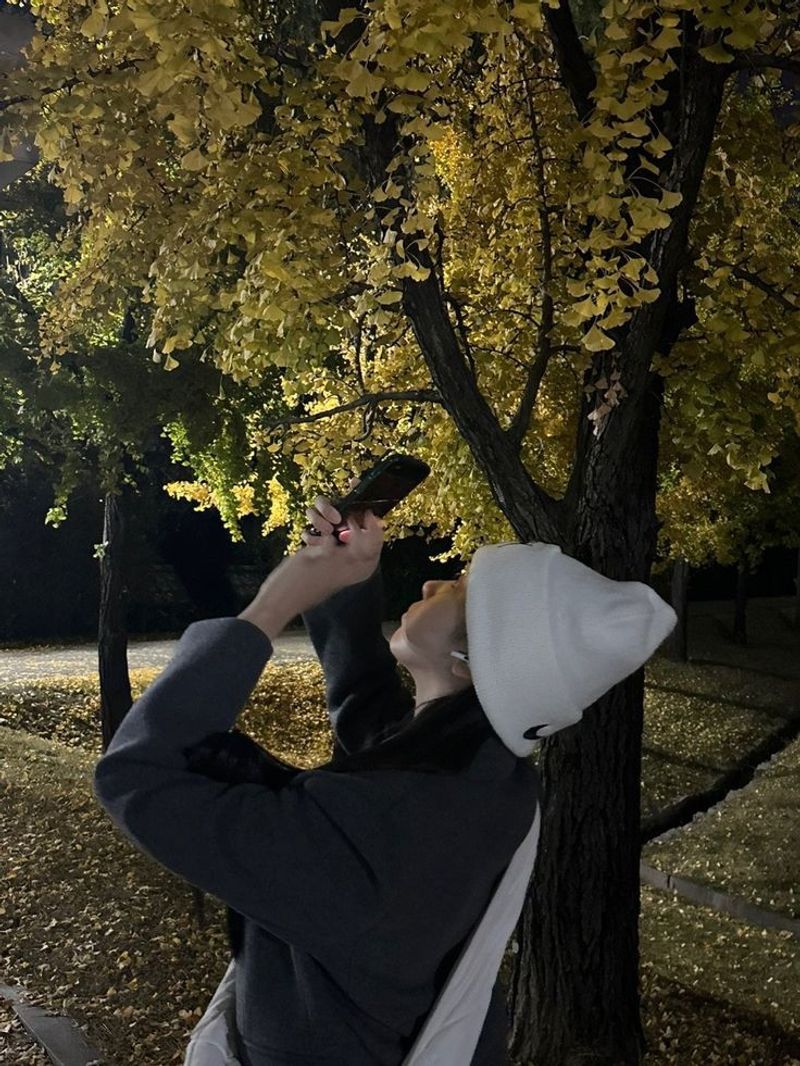 Quiz image attachment