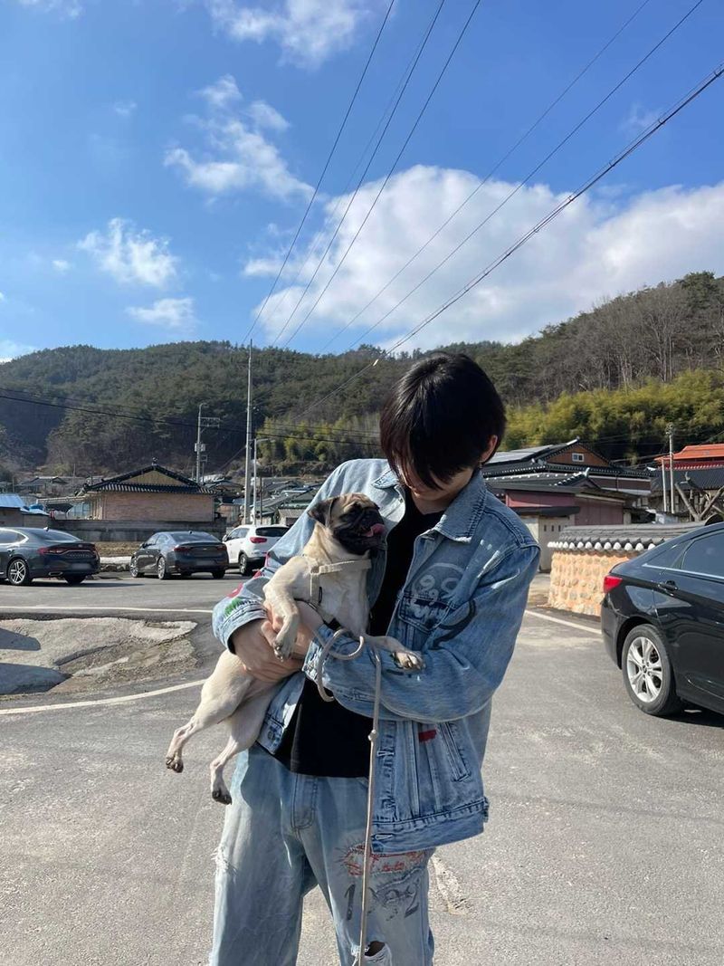 Quiz image attachment