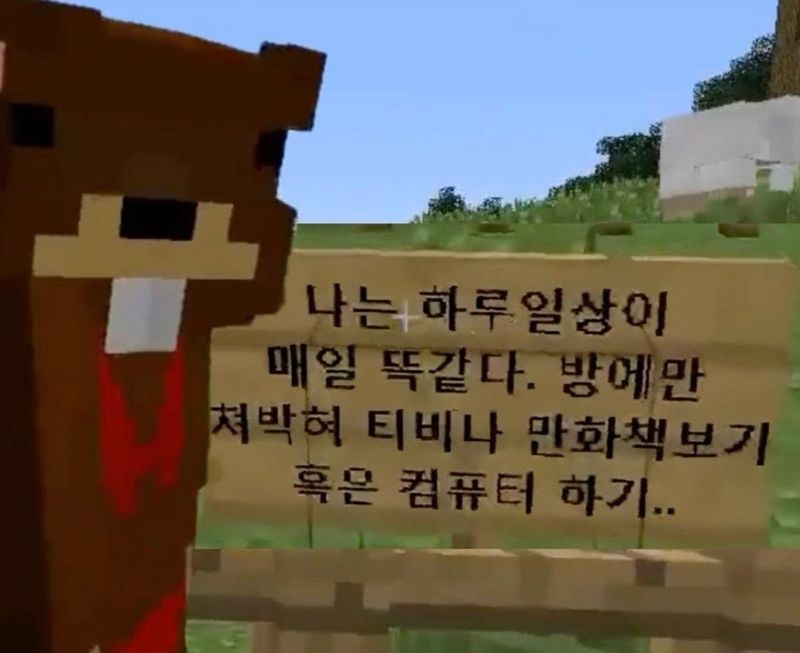 Quiz image attachment