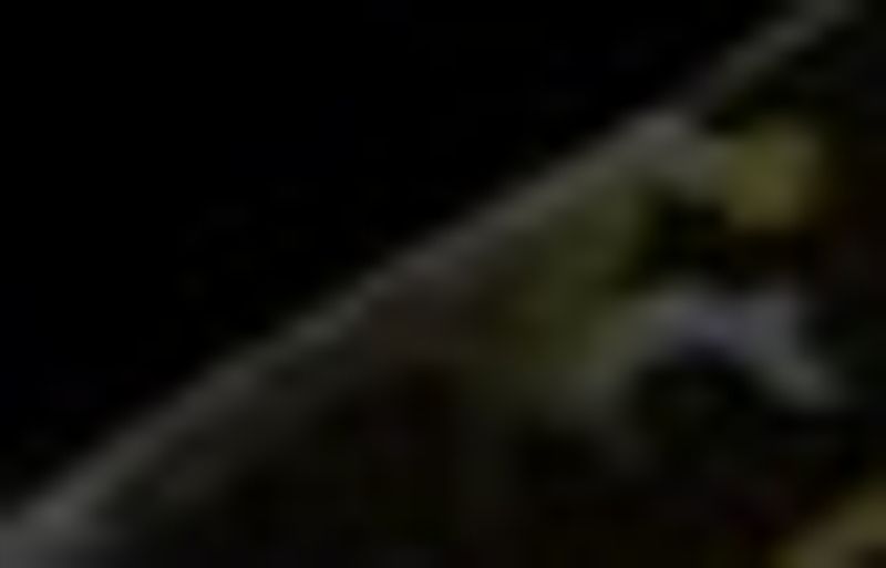 Quiz image attachment