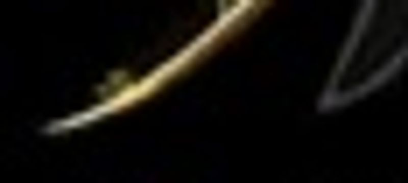 Quiz image attachment