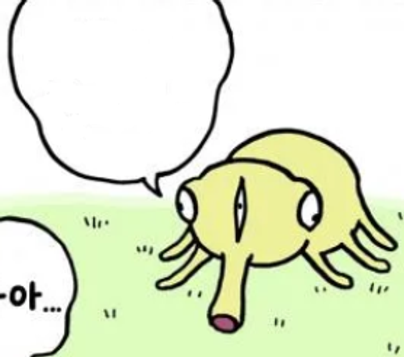 Quiz image attachment