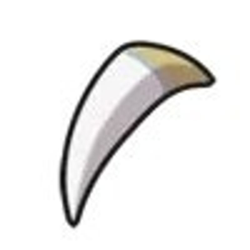 Quiz image attachment