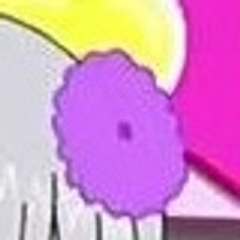 Quiz image attachment