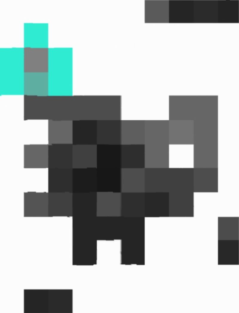 Quiz image attachment