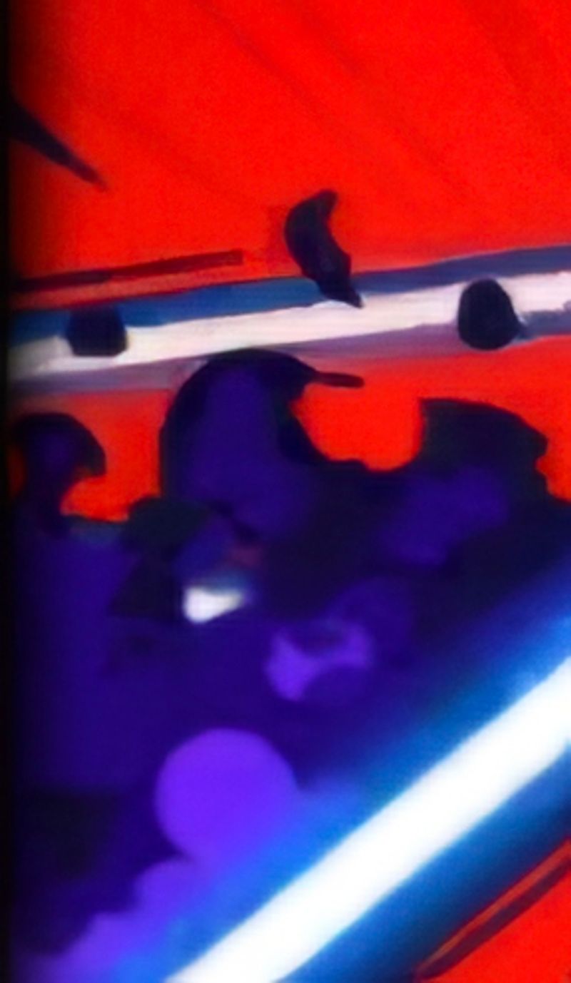 Quiz image attachment