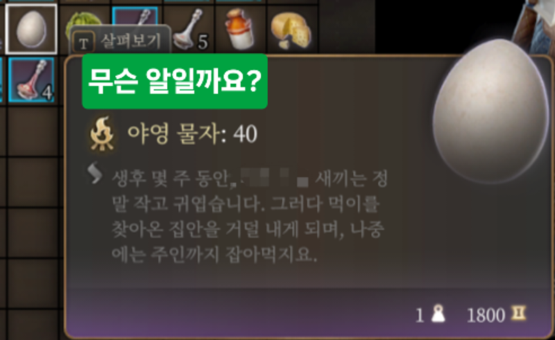 Quiz image attachment