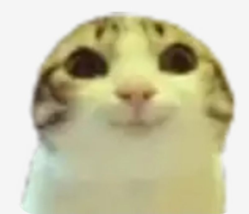 Quiz image attachment