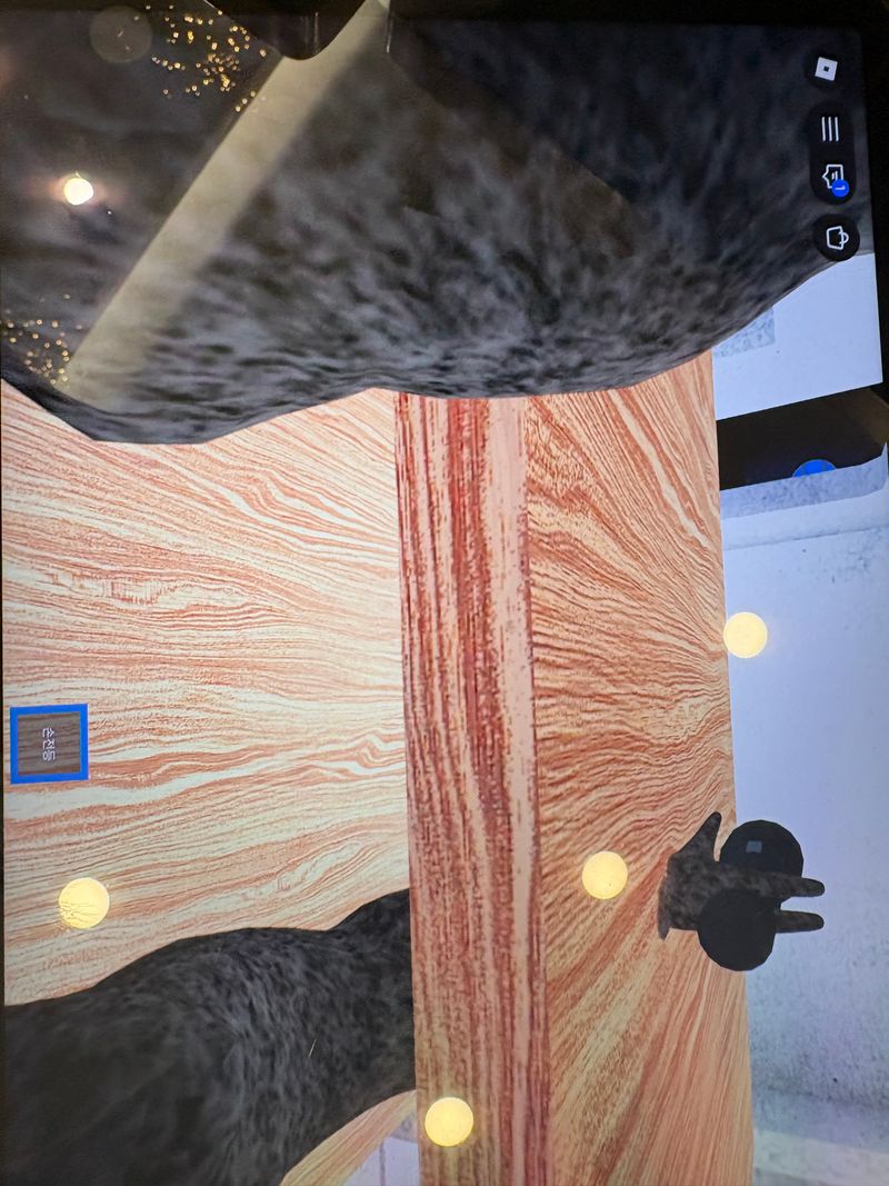 Quiz image attachment